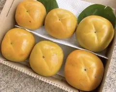 トモミン様専用商品