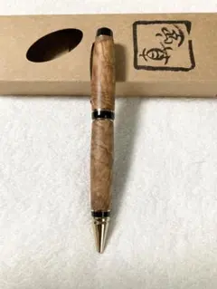 レア PELIKAN ボールペン K620 史跡シリーズ ピアッツァ・ナボーナ