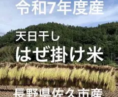 はぜ掛け米 令和7年度産 長野県佐久市産　コシヒカリ　白米5キロ