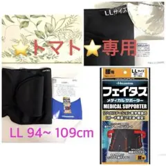 ⭐トマト⭐様専用 フェイタス メディカル サポーター 腰用 LＬサイズのサムネイル