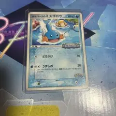 ポケパークのミズゴロウ048/PCG-P