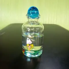 2025年最新】ミニチュアボトル サーフィンの人気アイテム - メルカリ