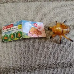 超絶リアル！！セミの抜け殻フィギュア カプセルトイ