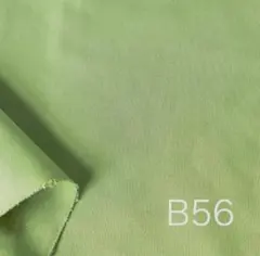 A7【1点のみ】生地 10オンスキャンバス B56アップルグリーン 1.5M