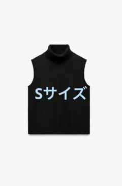 ZARA ソフトタッチハイネックトップス Sサイズ