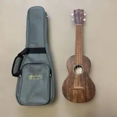 ukulele