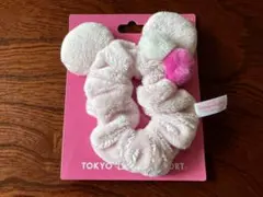 東京ディズニーリゾート シュシュ ピンク