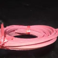 Item thumbnail for item f24bd38d-08f3-4d06-9a5e-52d258753169