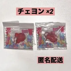 TWICE LOVELYS グミ＆チャーム ポーチつき チェヨン 2点セット