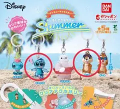 ディズニーめじるしアクセサリー Summer スティッチ チップ
