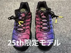 【未使用・美品】Nike Air Max Plus 25thアニバーサリーモデル