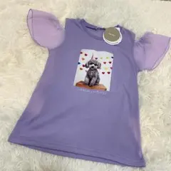 Item thumbnail for item 6e7c2cf7-f4e1-4411-a9ab-2d5d675eb7ad