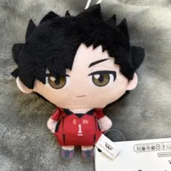 ハイキュー ぬいぐるみちゃーむ 黒尾鉄朗 プライズ UFOキャッチャー