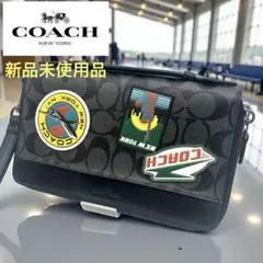 《未使用✴︎レア》COACH コーチ セカンドバッグ クラッチバッグ シグネチャー