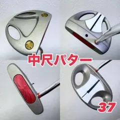 Item thumbnail for item 1ad4e9fc-99cc-4cf1-833e-b7c55c7189c0