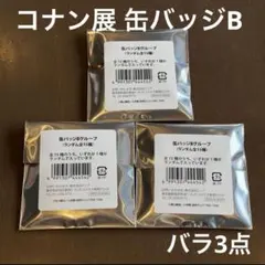 名探偵コナン TVアニメ30周年記念展 コナン展 缶バッジ Bグループ