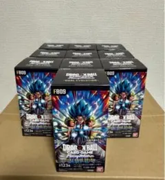 全てシール付き未開封 ドラゴンボール DUAL EVOLUTION 10ボックス
