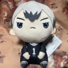 ハイキュー‼︎ もちぴこぬいぐるみ 北信介