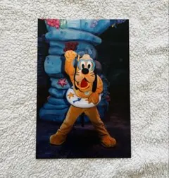 東京ディズニーリゾート　東京ディズニーシー　ポストカード　No.6