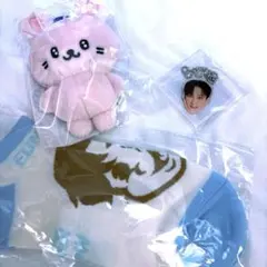 SUPERJUNIOR SS10 ウニョク ペンラアクセサリー ぬいぐるみ SUPERJUNIOR SS10 ウニョク ペンラアクセサリー ぬいぐるみ - メルカリ