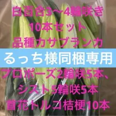 るっち様同梱専用 ❶ 白百合3〜4輪10本 カサブランカ プロポーズシスト計20