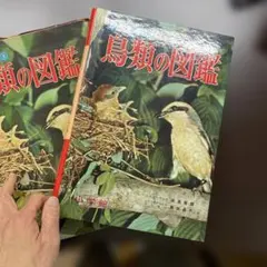 2026年最新】鳥類大図鑑の人気アイテム - メルカリ