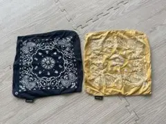 プティマイン　スタイ2枚セット