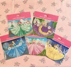 ★新品未開封★TDR ＊ディズニープリンセスドレスメモ＊30枚入り× 5種セット