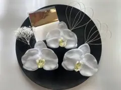 【7点】胡蝶蘭×水引×かすみ草×金箔l結婚式 前撮り 色打掛 和装 袴 卒業式