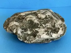 2026年最新】鑑賞石置物の人気アイテム - メルカリ