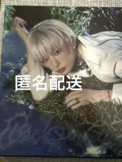 HARUA &TEAM Back to life ソロジャケ トレカあり