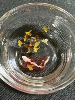 40ミニ金魚鉢大きめ 銀杏 ハンドメイド オブジェ レジン 金魚 波紋無しタイプ