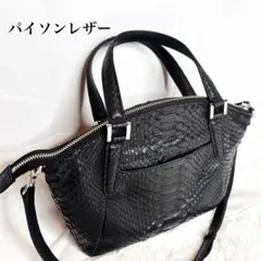 極美品 本革黒蛇 パイソン ショルダーバッグ 風水 開運 守護と蓄財