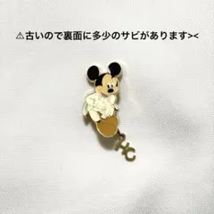 ミッキーマウス ピンズ ヘチャン