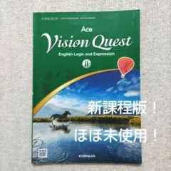 Ace Vision Quest II 美品 ビジョンクエスト