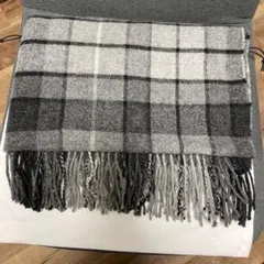 Item thumbnail for item d656ef44-de37-4f5e-b908-9f4b16559082