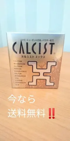 CALCIST X カルシストエックス 総合ミネラル補給食品 - メルカリ