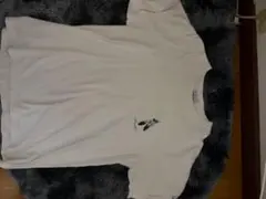 Acoustic Tシャツ ホワイト