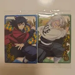 鬼滅の刃 冨岡義勇 煉獄杏寿郎 カードセット