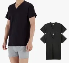 グンゼ G.T.HAWKINS BASICPACKT-SHIRTメンズ 2枚組L