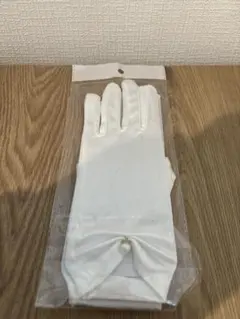 Item thumbnail for item e9f157e5-7048-455e-9ca7-83acaadecc5a