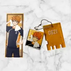 ハイキュー!! 日向翔陽 グッズ 2点セット