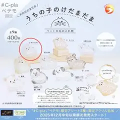 うちの子のけだまだま　ポメラニアン