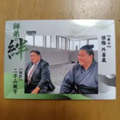 Item thumbnail for item 1c110b52-ae1a-465b-9adc-f98eaca7445d