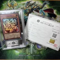 ARS10】遊戯王 オシリスの天空竜 墨絵 鑑定書 sumie - メルカリ