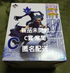 一番くじ 僕のヒーローアカデミア ～突入～ C賞 常闇踏陰;figure