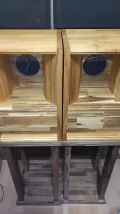 Telefunken録音モニター/ブックシェルフスピーカー ペア高能率・高
