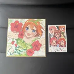 五等分の花嫁　色紙　映画特典　四葉