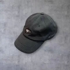 BEAMS GOLF ポーラテック キャップ 黒 テック