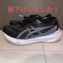 アシックス ランニングシューズ GEL-KAYANO 30 メンズ 26.0cm